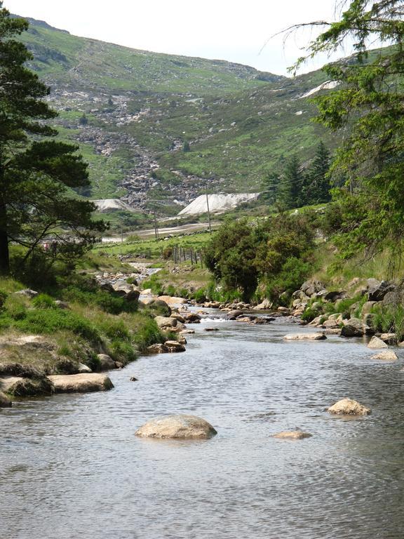 Riversdale House Accommodation Laragh Exteriér fotografie