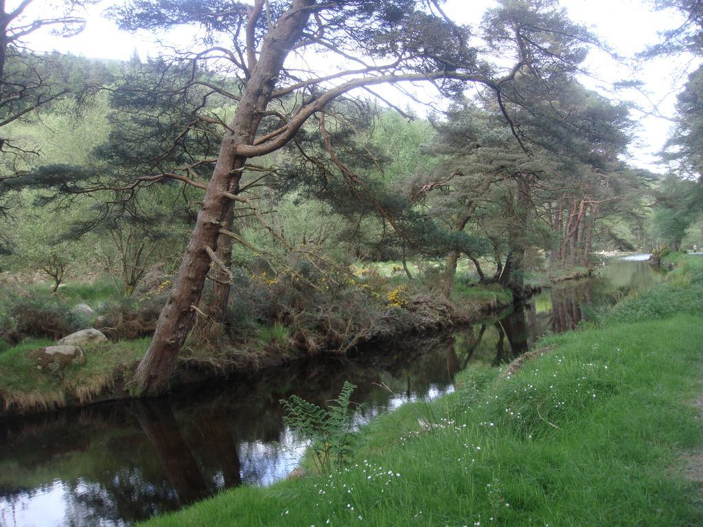 Riversdale House Accommodation Laragh Exteriér fotografie
